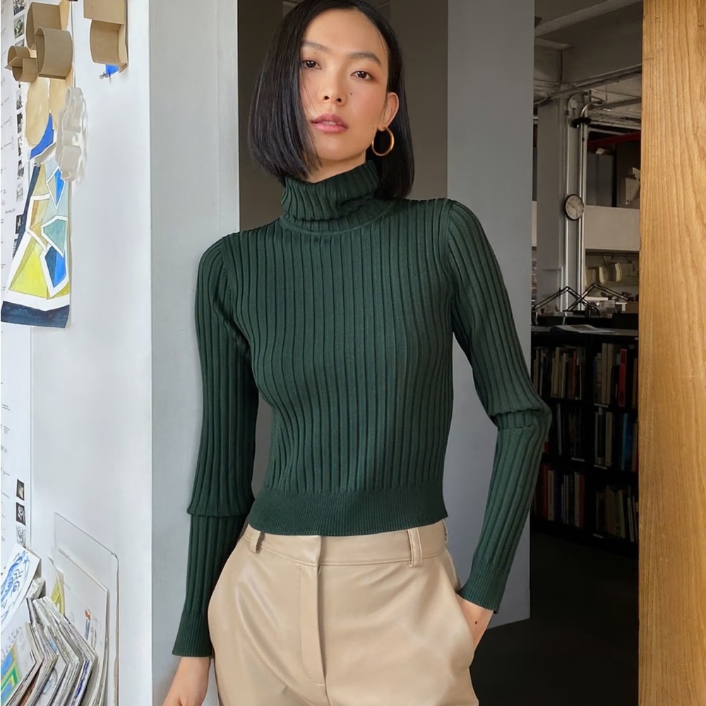 Aritzia Babaton Victor Turtleneck in Black